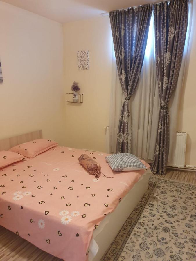 Relax Haus Hotel Hunedoara Exterior photo