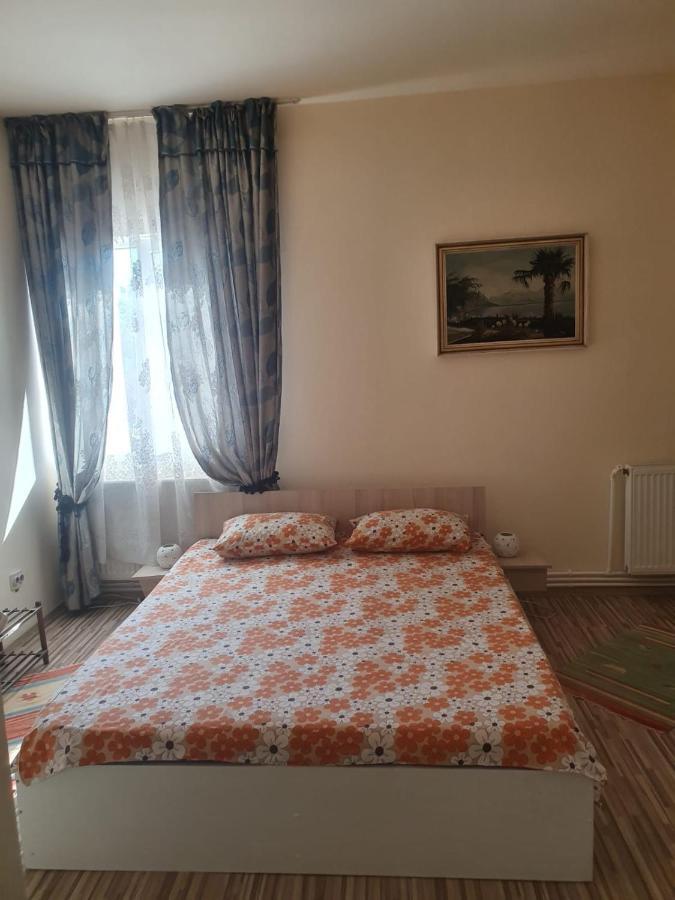 Relax Haus Hotel Hunedoara Exterior photo